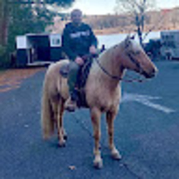 horsesandplanes